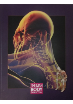 The Human Body Exhibition