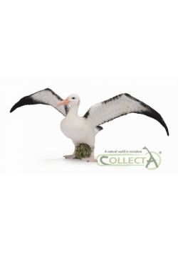 Albatros wędrowny L