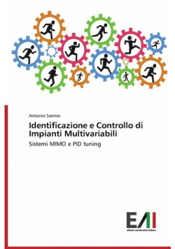 Identificazione e Controllo di Impianti Multivariabili