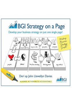 BGI Strategy on a Page