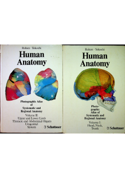Human anatomy Tom I i II