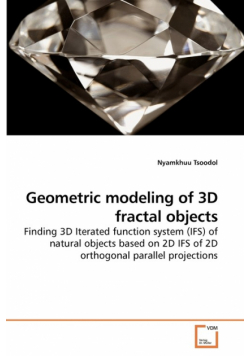 Geometric modeling of 3D fractal objects