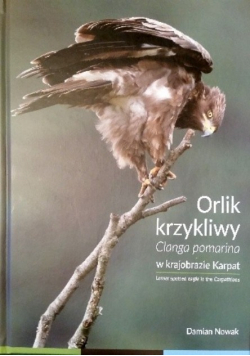 Orlik krzykliwy Clanga pomarina w krajobrazie Karpat