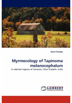 Myrmecology of Tapinoma melanocephalum