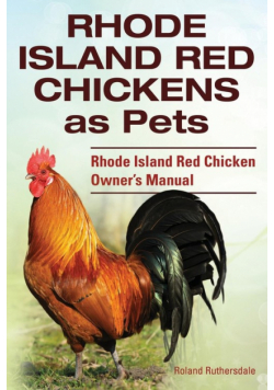 Rhode Island Red Chickens as Pets. Rhode Island Red Chicken Owner's Manual