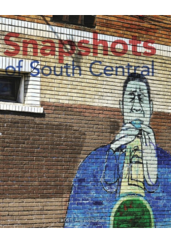 Snapshots of South Central