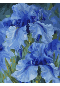 Malowanie po numerach - Niebieskie tęczówki 30x40