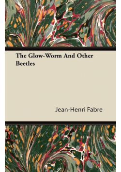 The Glow-Worm And Other Beetles