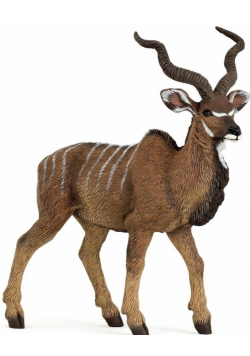 Antylopa kudu wielka