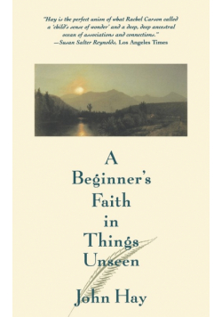 Beginner's Faith in Things Unseen