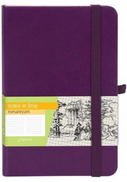 Notes A6 Linia Romantyzm Fiolet ANTRA