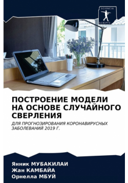 ПОСТРОЕНИЕ МОДЕЛИ НА ОСНОВЕ СЛУЧАЙНОГО СВЕРЛЕНИЯ