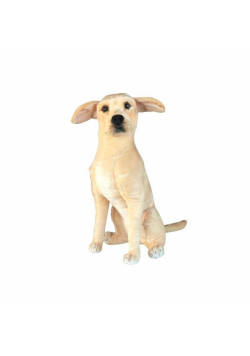 Labrador 66cm