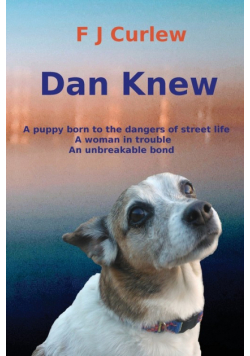 Dan Knew