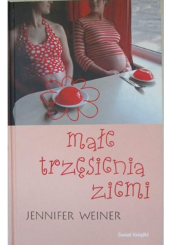 Małe trzęsienia ziemi