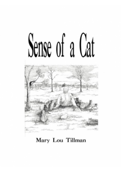 Sense of a Cat