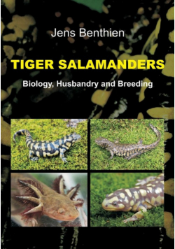 Tiger Salamanders