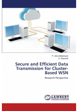 Secure and Efficient Data Transmission for Cluster-Based WSN