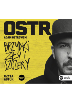 Brzydki, zły i szczery audiobook