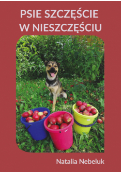 Psie szczęście w nieszczęściu