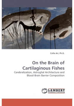On the Brain of Cartilaginous Fishes