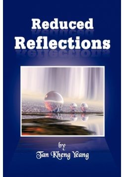 Reduced Reflections