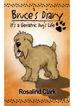 Bruce's Diary