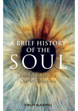 Brief History of the Soul