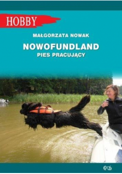 Nowofundlad - pies pracujący