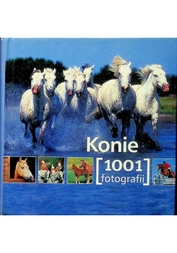 Konie 1001 fotografii