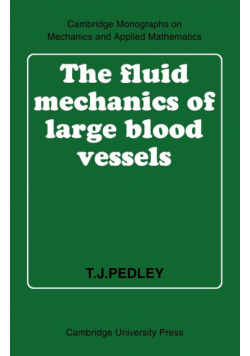 The Fluid Mechanics of Large Blood Vessels