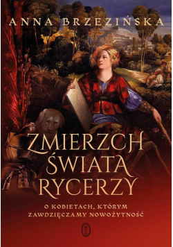 Zmierzch świata rycerzy