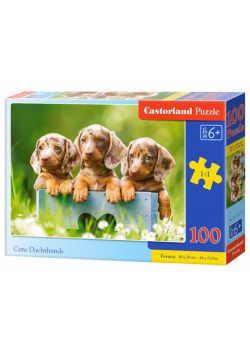 Puzzle 100 el. B-111213 Cute Dachshunds