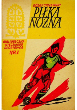 Piłka nożna