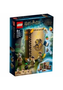 Lego HARRY POTTER 76384 Chwile z Hogwartu Zielar..