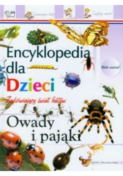 Owady i pająki Encyklopedia dla dzieci