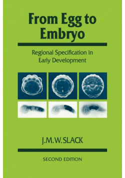 From Egg to Embryo