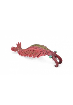 Anomalocaris