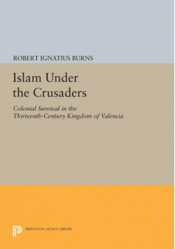 Islam Under the Crusaders