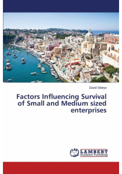 Factors Influencing Survival of Small and Medium sized enterprises