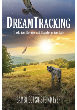 DreamTracking