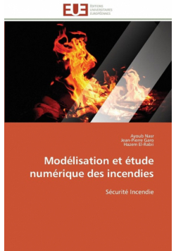 Modélisation et étude numérique des incendies