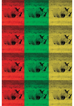 Alive! white rhino - Color collage - Photo Art Notebooks (6 x 9 series)