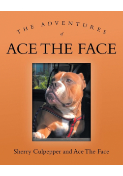 The Adventures of Ace The Face