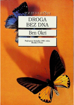 Droga bez dna