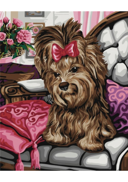 Malowanie po numerach - Yorkshire terrier 40x50cm