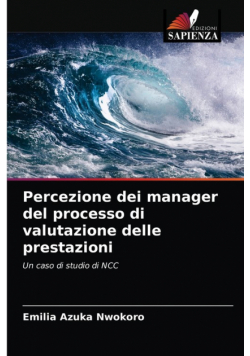 Percezione dei manager del processo di valutazione delle prestazioni