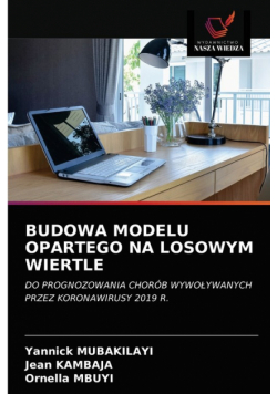 Budowa Modelu Opartego Na Losowym Wiertle