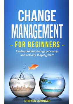 Change Management for Beginners
