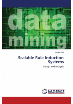 Scalable Rule Induction Systems